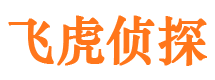 中江侦探公司